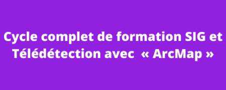 Cycle complet de formation SIG et Télédétection « ArcMap » en ligne