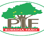 Logo_PIF