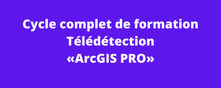 Cycle complet de formation Télédétection ArcGIS PRO